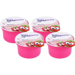 Nutrini Creamy Fruit Beerenfrüchte 400 G