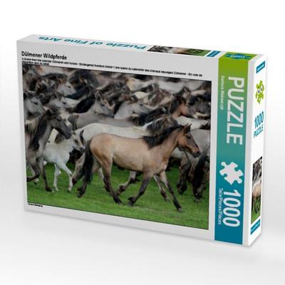 CALVENDO Puzzle Dülmener Wildpferde | 1000 Teile Lege-Größe 64x48cm Foto-Puzzle für glückliche Stunden