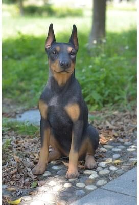 Hi-Line Gift Ltd. Sitting Doberman Pinscher