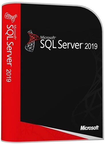 Microsoft Windows Sql Server 2019 Standard - Cals Sisältyy