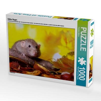 CALVENDO Puzzle Süßer Nager. | 1000 Teile Lege-Größe 64x48cm Foto-Puzzle für glückliche Stunden
