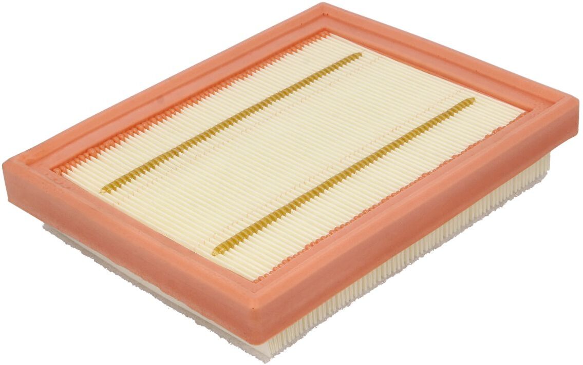 Luftfilter FILTRON AP 124/8