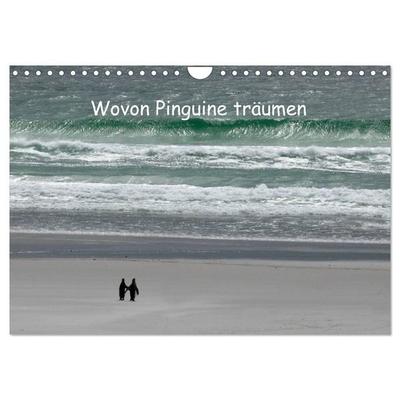 Wovon Pinguine träumen (Wandkalender 2027 DIN A4 quer), CALVENDO Monatskalender