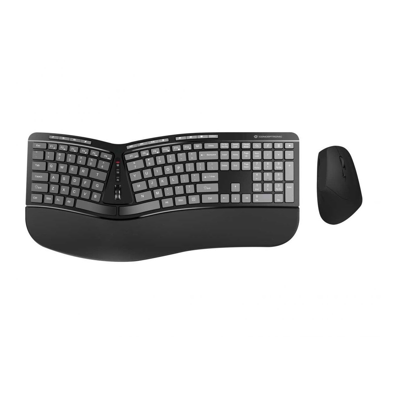 Conceptronic Wireless Keyboard+Mouse,ergo,Layout US sw