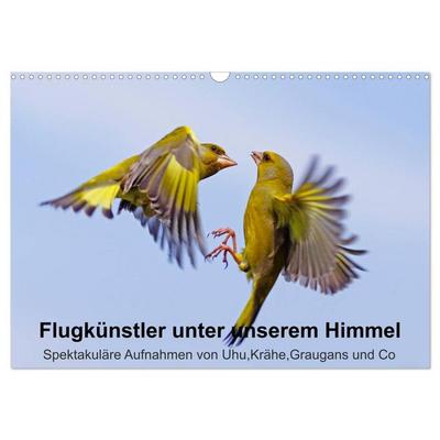 Flugkünstler unter unserem Himmel - Spektakuläre Aufnahmen von Uhu,Krähe,Graugans und Co (Wandkalender 2026 DIN A3 quer), CALVENDO Monatskalender