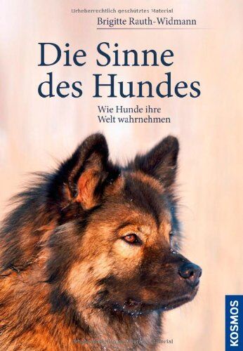 Brigitte Rauth-Widmann - Die Sinne des Hundes: Wie Hunde ihre Welt wahrnehmen - Preis vom 09.10.2026 07:28:09 h