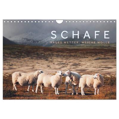 Schafe - Raues Wetter, weiche Wolle (Wandkalender 2026 DIN A4 quer), CALVENDO Monatskalender