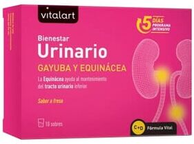 Vitalart Bem-estar Urinário 10 Saquetas