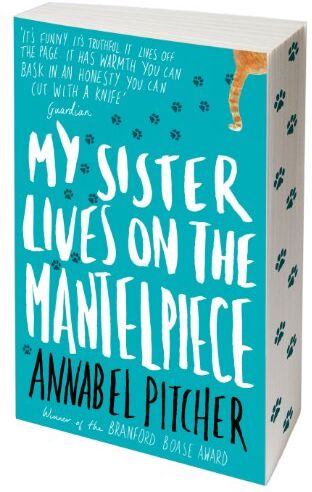 Annabel Pitcher - My Sister Lives on the Mantelpiece - Preis vom 11.10.2026 15:43:13 h
