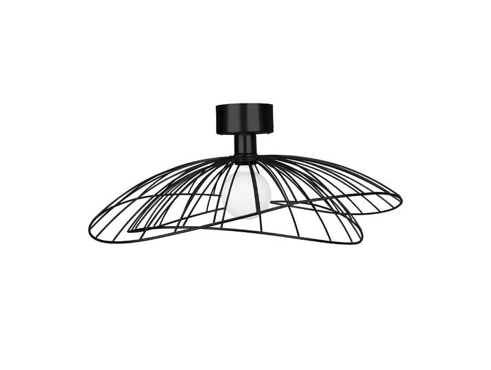 Globen Lighting Ray plafondlamp mat zwart