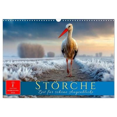 Störche - Zeit für schöne Augenblicke (Wandkalender 2026 DIN A3 quer), CALVENDO Monatskalender