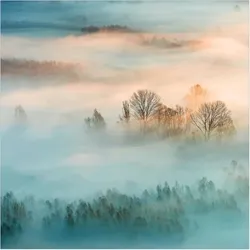 FOTOTAPETE Nebel bei Sonnenaufgang 240/240 cm