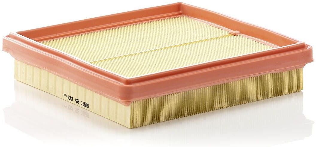 MANN-FILTER C 25 153 Air filter