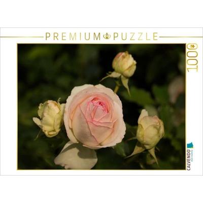 CALVENDO Puzzle Zauberhafte Rosen | 1000 Teile Lege-Größe 64x48cm Foto-Puzzle für glückliche Stunden