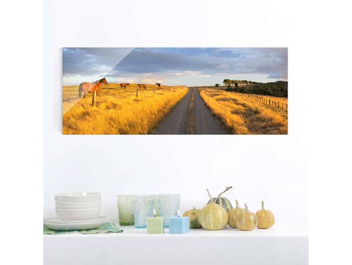Glasbild Feldstraße bei Abendsonne Glasart: Sicherheitsglas Material: Glas Motiv: Animal Muster: mit Motiv Gelb 125 x 50 x 0cm