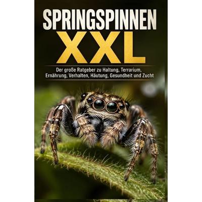 Springspinnen XXL, Taschenbuch von T. F. Loren, Bookmundo, 978-94-039-3201-9
