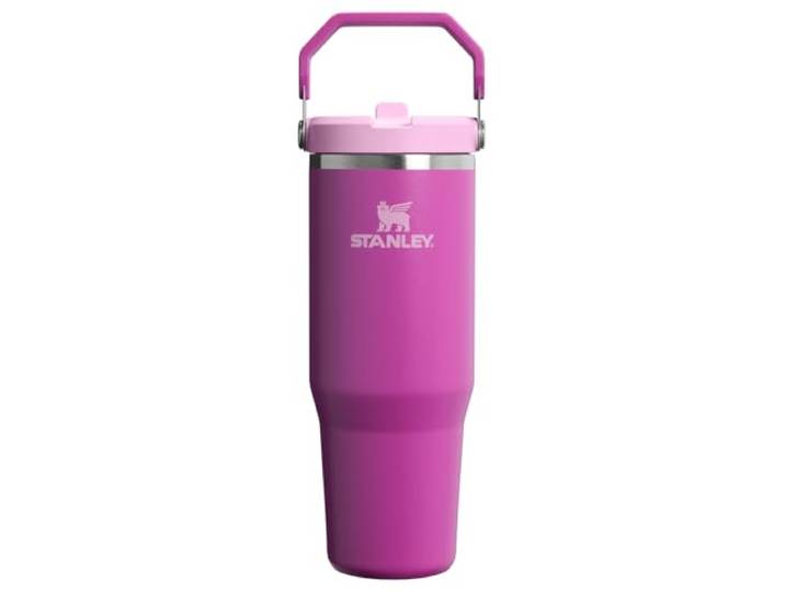 STANLEY IceFlow 2.0 Klapp-Strohhalm Becher mit Henkel 30 Unzen Drehverschluss und aufklappbarer Strohhalm Auslaufsichere Wasserflasche Isolierter Edelstahl BPA-frei Dunkelblüte