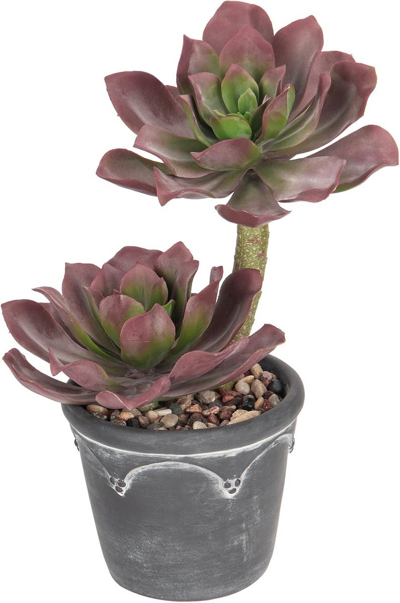 Grote kunstmatige vetplant in cement pot voor badkamer en thuis decoratie - Donker magenta