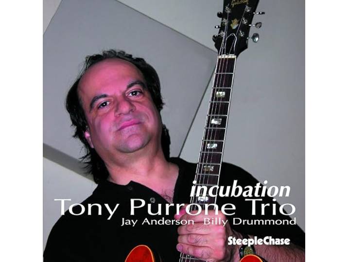 Tony Purrone Trio - Incubation