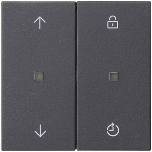 Gira Commande radio Mem.Pfeile anthracite 549228 (549228)
