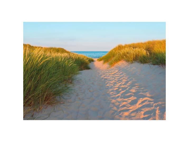 FOTOTAPETE Sandy Path