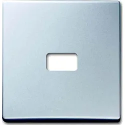Busch-Jaeger Wippe Aluminium-Silber offen für Symbol 2120-33