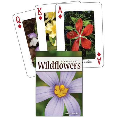 Wildflowers of the Southeast