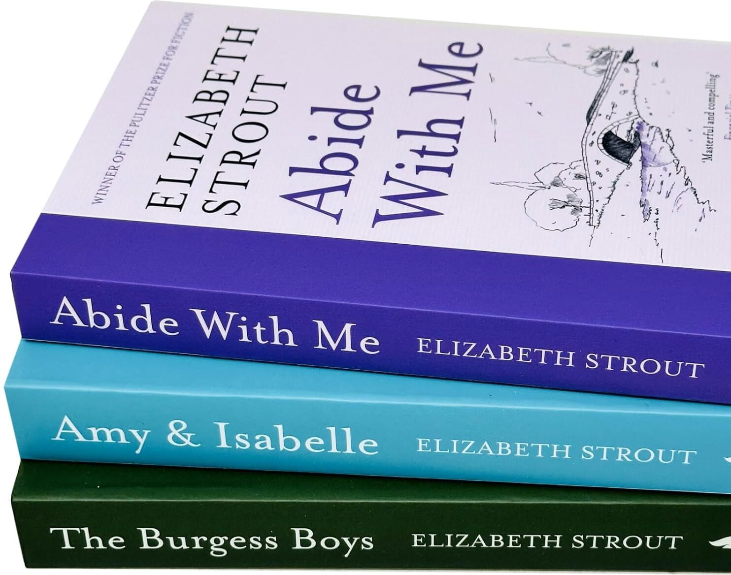 Simon & Schuster Elizabeth Strout 3 Books Collection Set - Amy & Isabelle, Abide With Me, The Burgess Boys - Paperback Fiction - New