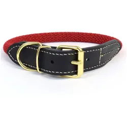 Duvoplus Explor Forest (47, Hund, Spazieren), Halsband + Leine