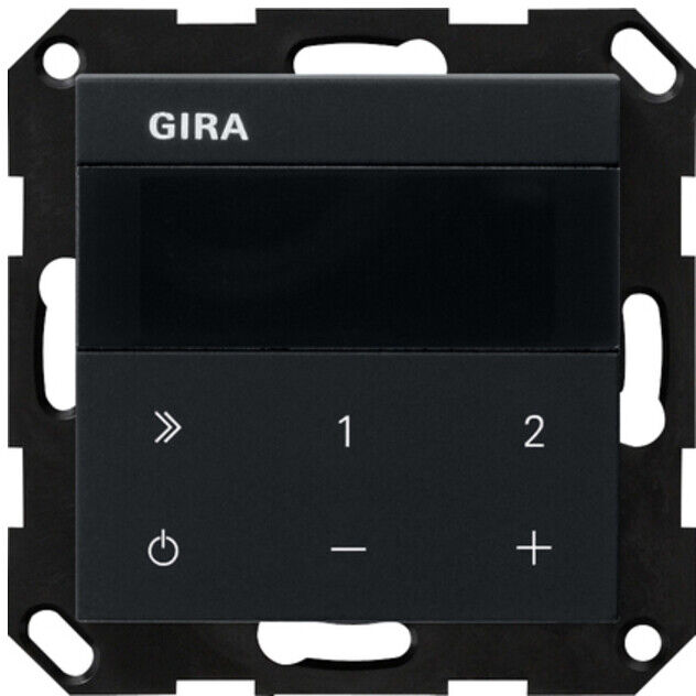 Gira Radio encastré IP 2320005 noir mat (2320005)