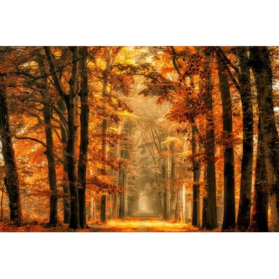 Fototapete PAPERMOON "Photo-Art VAN DE, BEENDEN SIE DAS PORTAL", bunt, B:4m L:2,6m, Vlies, Tapeten