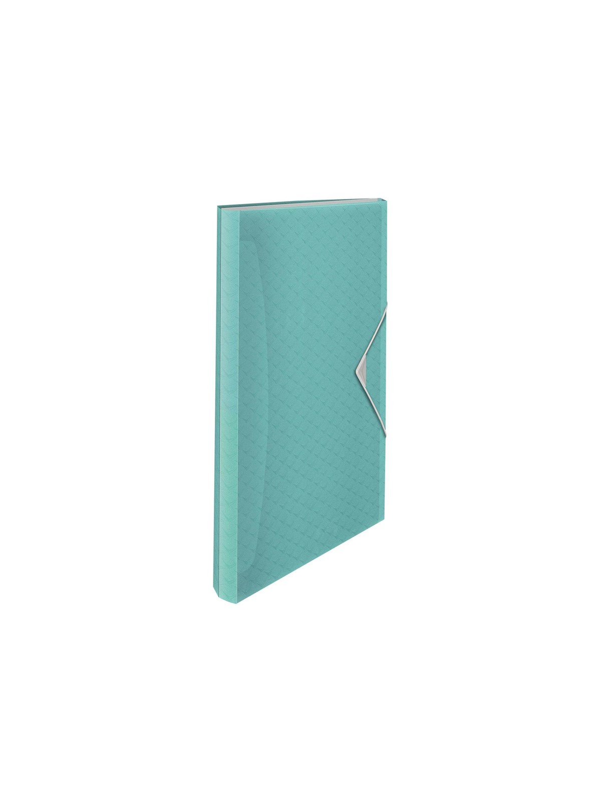 Esselte Colour'Breeze Projektmappe Blau