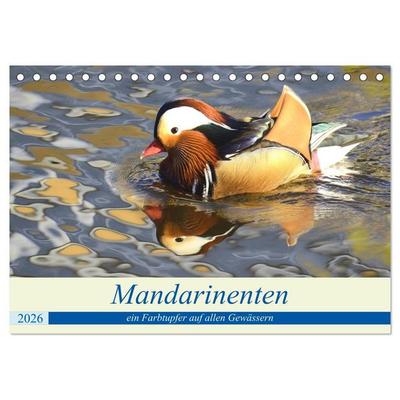 Mandarinenten, ein Farbtupfer auf allen Gewässern. (Tischkalender 2026 DIN A5 quer), CALVENDO Monatskalender