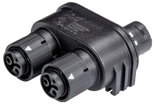 Wieland Electric 46.030.1254.1 Verteiler