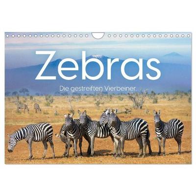 Zebras - Die gestreiften Vierbeiner. (Wandkalender 2027 DIN A4 quer), CALVENDO Monatskalender