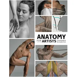 Anatomy for Artists, Ratgeber von 3dtotal Publishing