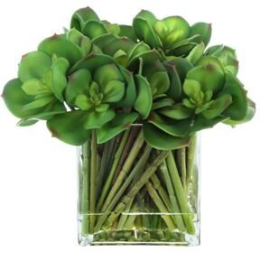Creative Labs Echeveria Arrangement in Glass Vase