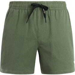 PROTEST Herren Badeshorts PRTWytona, Größe M in Grau Grau