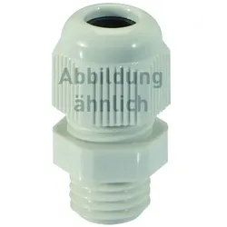 Legrand 382595 Rohrverbinder mit Innen- gewinde M40