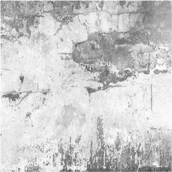 FOTOTAPETE Grunge Betonwand Grau 240/240 cm