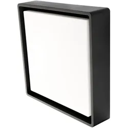 Sg, Deckenleuchte, SGLI 605252 FRAME SQUARE schwarz 6W L (500 lm)