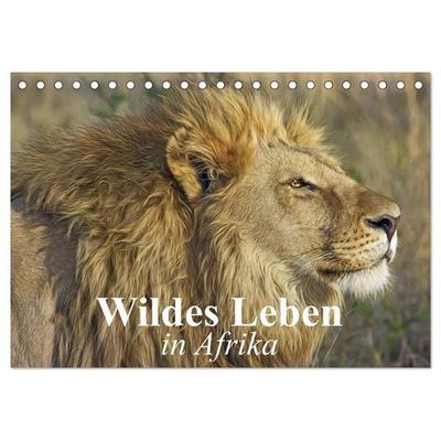 Wildes Leben in Afrika (Tischkalender 2027 DIN A5 quer), CALVENDO Monatskalender