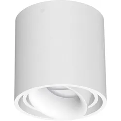 EVN Lichttechnik Hochvolt Deckenleuchte 941001