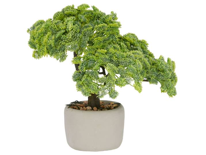 Kunstbonsai CREATIV GREEN Bonsai Sedum multiceps , grün, B:26cm H:24cm T:20cm, Kunststoff, Kunstpflanzen, Kunstbonsai, mit modernem Pflanzgefäß