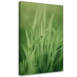 WANDBILD grashalm