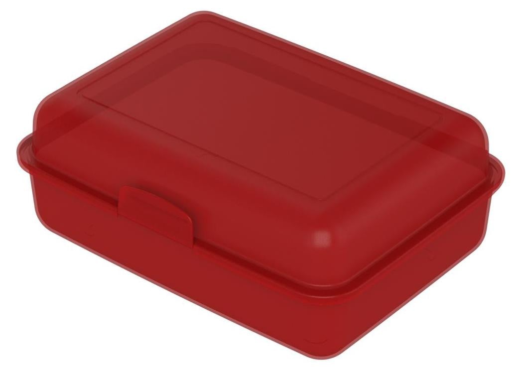 Lunchbox School-Box groot Regenboog - BPA-vrije brotdoos voor kinderen met compartiment en kliksluiting