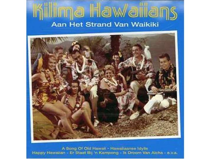 Aan Het Strand Van Waikiki