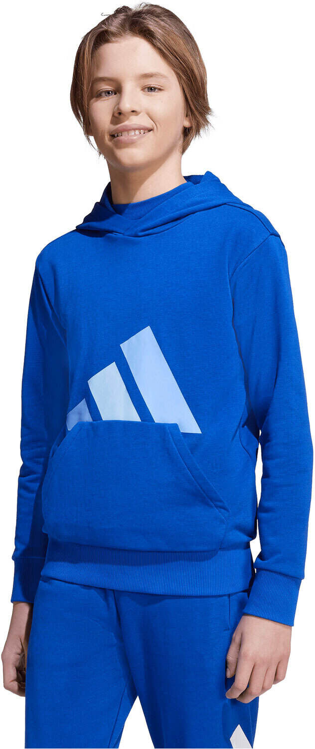 Adidas essentials sudadera niño Azul (152)