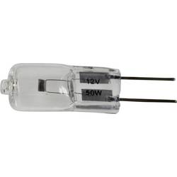 Kern OBBA1207 OBB-A1207 Mikroskoplampe Passend für Marke (Mikroskope) Kern