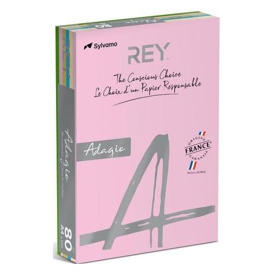 Rey Farbiges Papier RYADA160X905 Farbig Sortiert 160 g/m² (A4, 250 Blätter, 160 g/m²) (RYADA160X905)